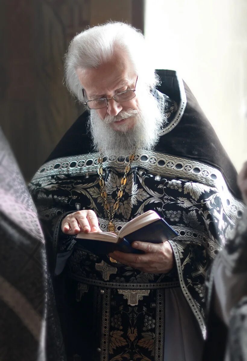 Протоиерей лев махно. Семенов лев леонидович. Семенов лев леонидович. Священник семенов. Лев семенов омск.