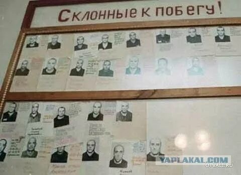Аудиокниги склонен к побегу. Склонен к побегу полоса. Аудиокниги склонен к побегу. Личные дела осужденных. Склонна к побегу.