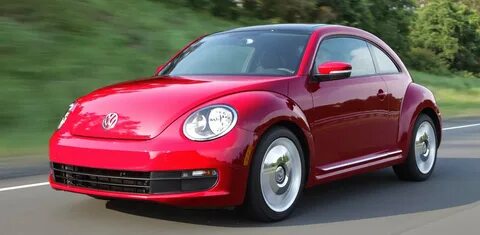 New beetle