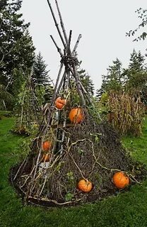 Приспособления для тыквы