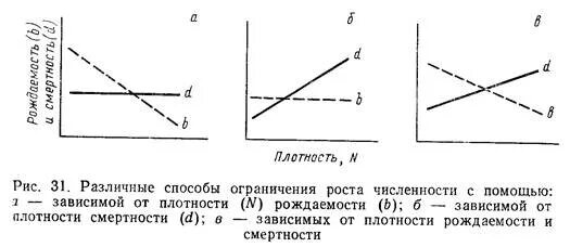 Плотность риса. Плотность риса