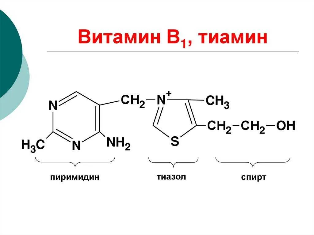 Тиамин б 1. Витамин b1 структура. химическое строение витамина в1. тиамин витамин в1 структура. витамин в1 химическая формула.