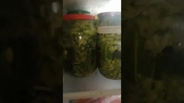 Засолка огурцов на зиму горячим. Солёные огурцы на зиму в банках. огурцы холодным посолом с горчицей. горчица для огурцов для соления. холодный способ засолки огурцов в банках на зиму без стерилизации.