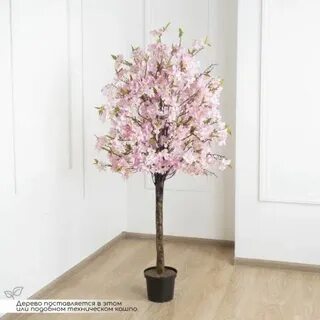 Xros mini sakura pink