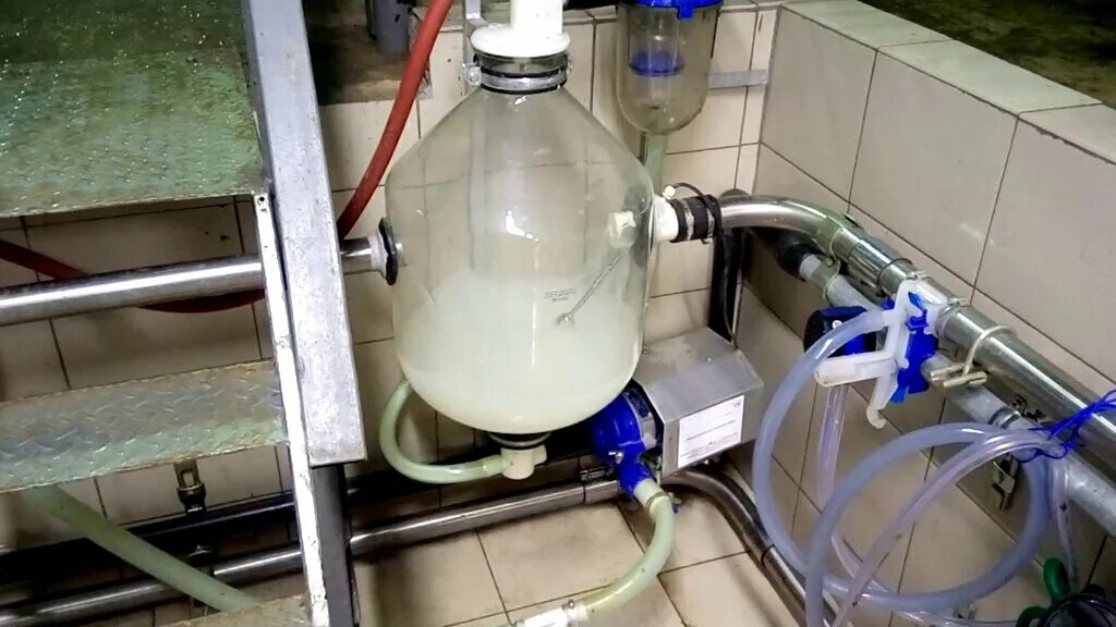 Промывка доильных. Адс 100 молокопровод. Система промывки молокопровода. Доильный аппарат в молокопровод. Молокопровод делаваль на 200 голов.