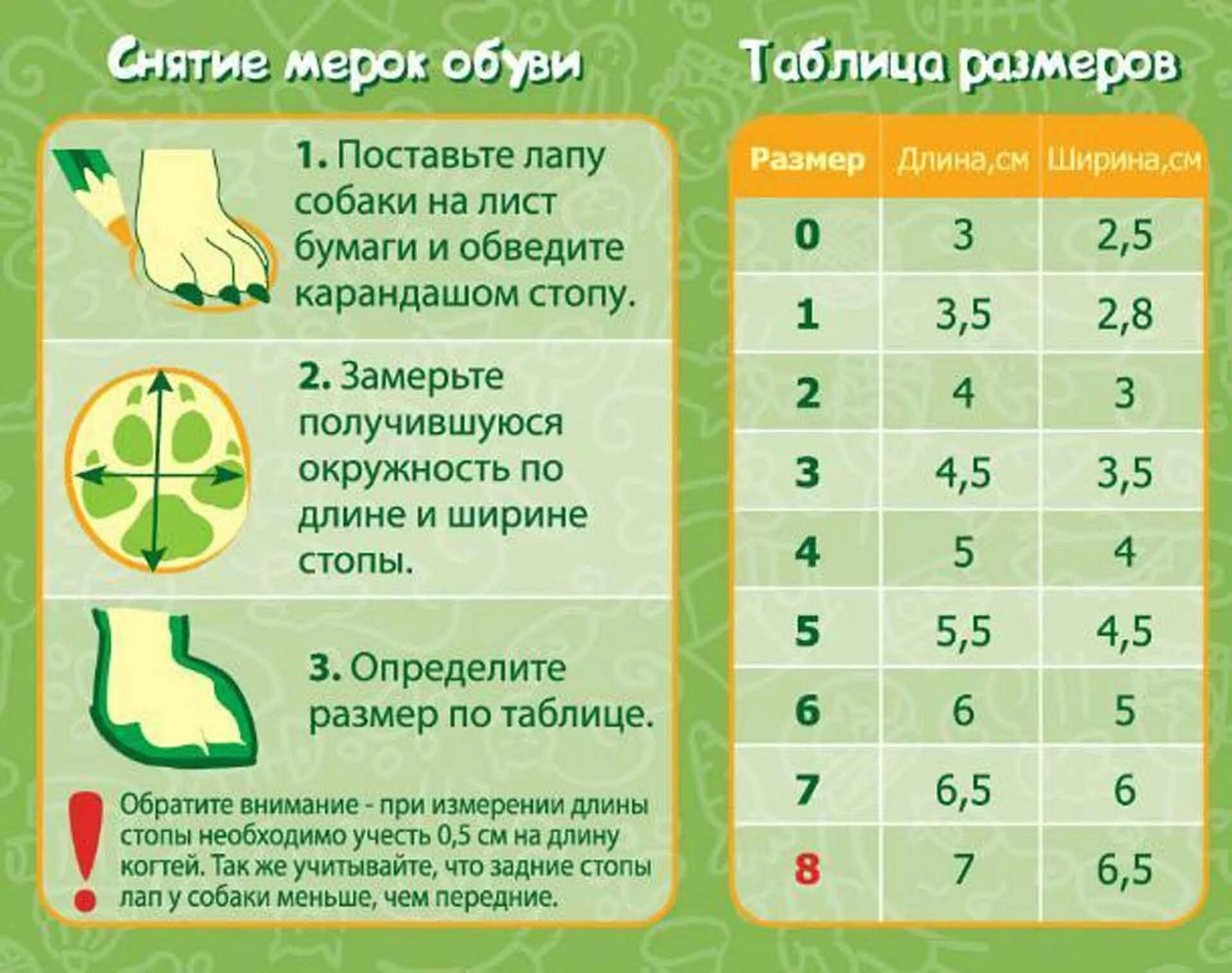 Как выбрать размер для собаки. Таблица размеров обуви для собак мелких пород. как измерить размер лапы у собаки. размер обуви для собак таблица. как измерить размер лапы у собаки для обуви.