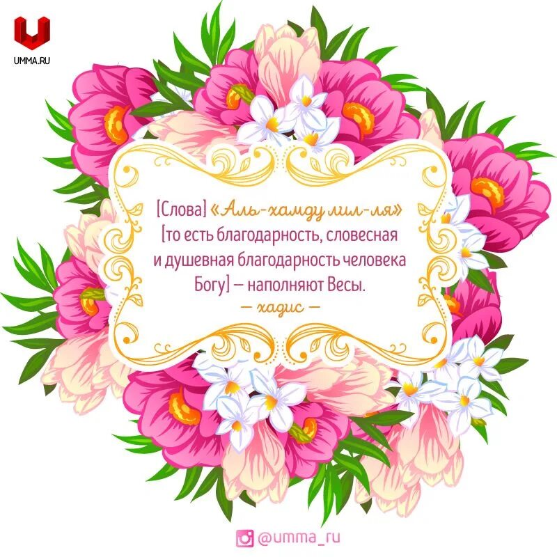 Джазаки аллаху хайран мужчине. Слова благодарности на арабском. Благодарность в исламе. Ислам религия любви хьехамш. Спокойствие в исламе.