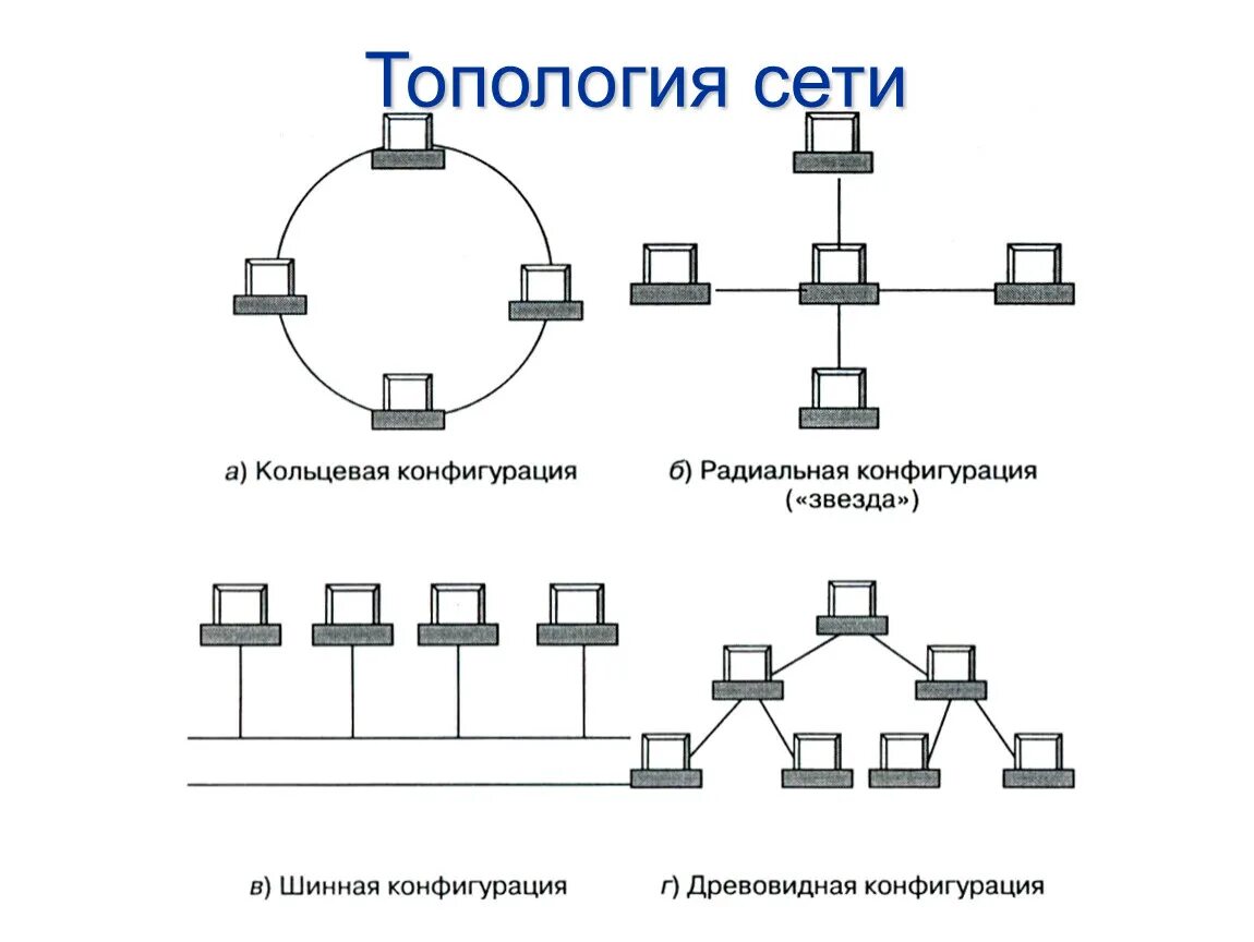 Основы сетей виды сетей