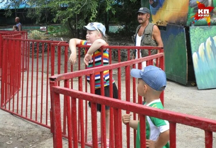 Передвижной зоопарк сафари. Зоопарк сафари волгоград. Сафари волгоград. Сафари волгоград. Московский зоопарк сафари передвижной.
