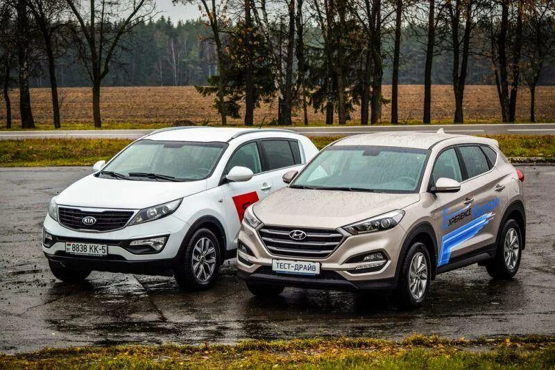 Сравнить туссан. Сравнить туссан. Hyundai tucson 2016. Сравнить туссан. Сравнить туссан.