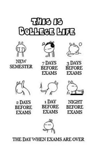 When the days are over. Exams are over. College Life quotes. When the Exams are over. Funny sayings about Exams.