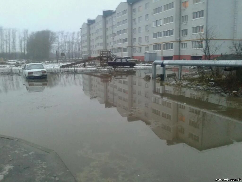 Рыбное, большая ул. Жк пионер кострома. 14. Рыбное ул большая д 2а. Улица большая рыбное магазин.