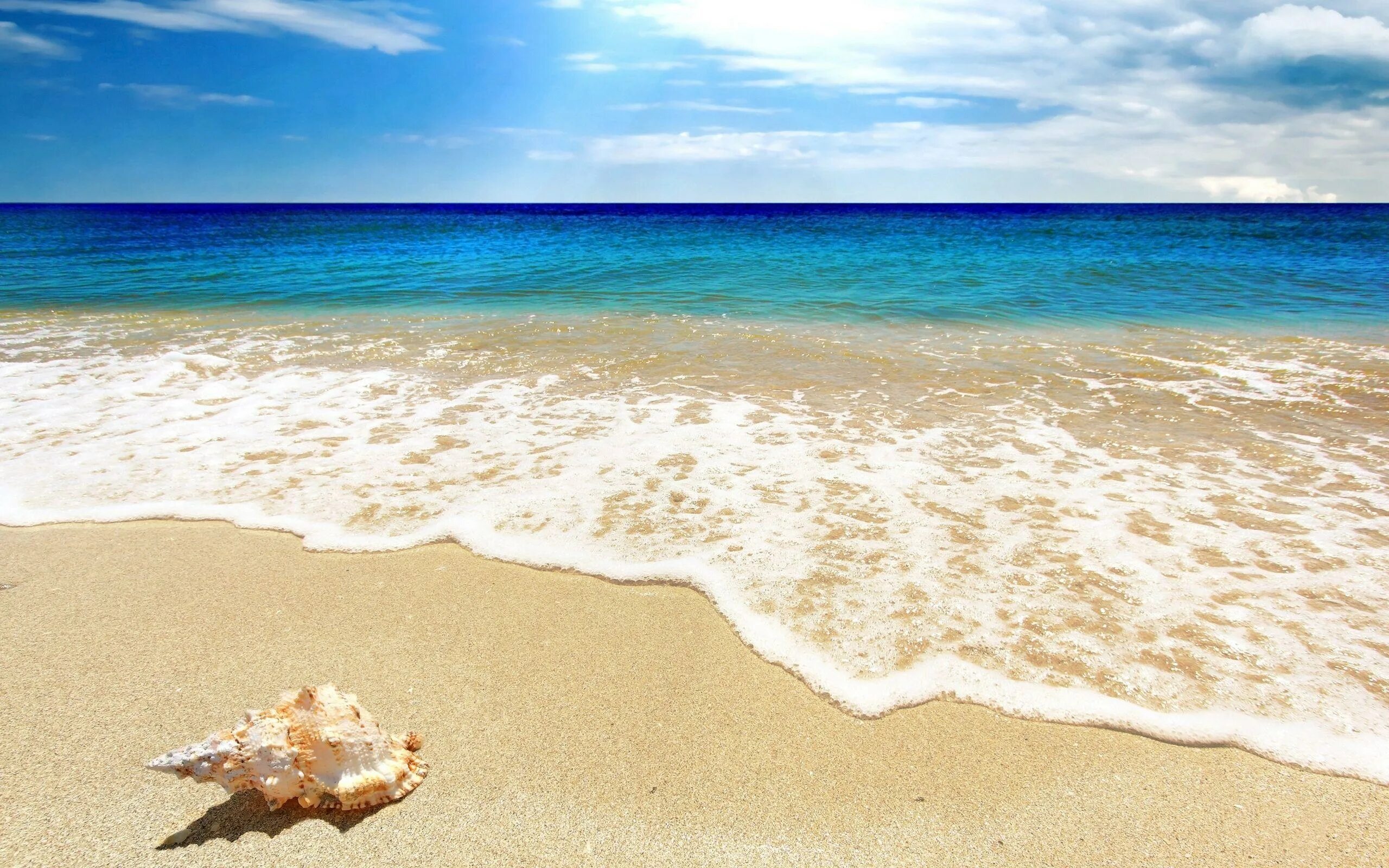 Море песок. Песчаный пляж. Пляж песок. Пляж море песок. Beach scene