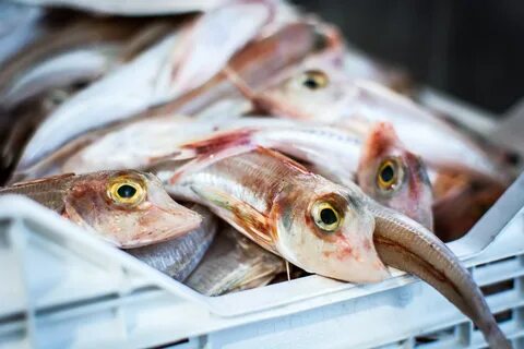 Fish products