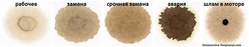 Капельный тест моторного масла дизельного двигателя. Масляный тест. Капельный тест моторного масла дизель. Капельная проба моторного масла дизель. Капельный тест моторного масла.