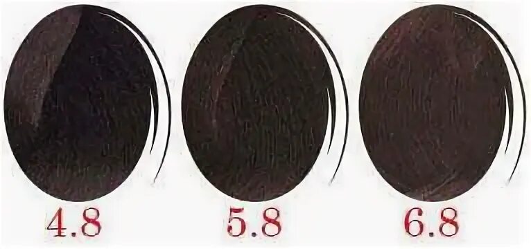 Цвет 4 81