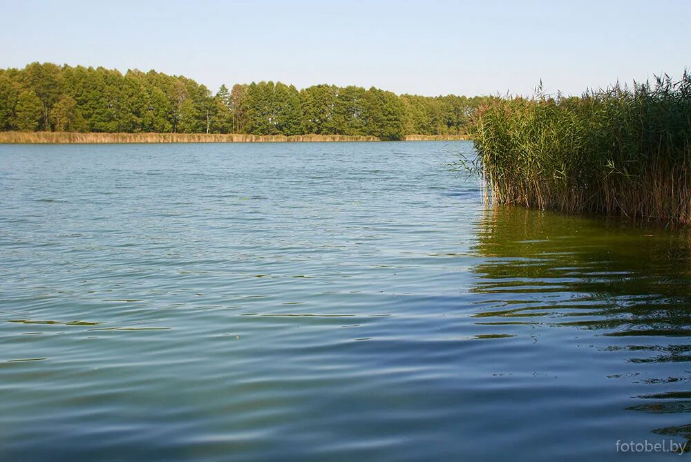 Агрогородок речки