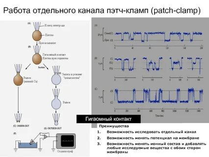 Канал отдельного