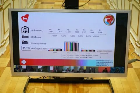 Итоги викторины выборы 2024