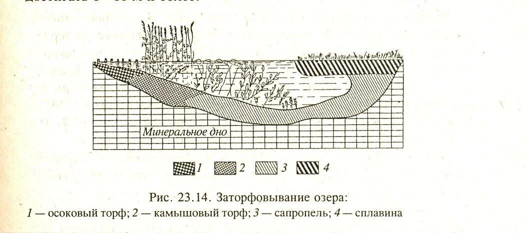 Плотность торфа. Торф объемный вес кг/м3. Плотность торфа. Объемная масса торфа. Объемный вес торфа.