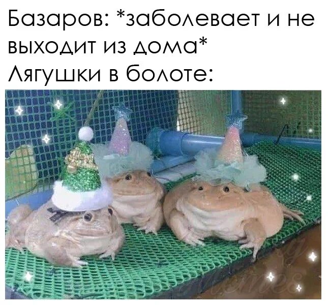 Базаров мемы. Гоголь и пушкин пейринг. Базаров мемы. Тургенев дуэль кирсанова и базарова фото. Базаров арты.