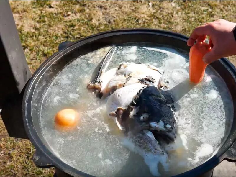 Уха на природе в котелке. Толстолобик на костре. Уха из форели в казане на костре. Форель в казане на костре. Уха из форели в казане на костре.