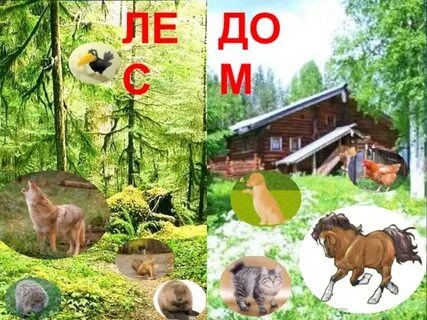 Лесной дом текст