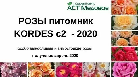 Каталог осень 2024. Каталог семян. Каталог осень 2024. Каталог осень 2024. Каталог осень 2024.