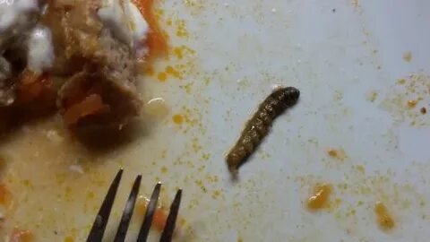Непереваренные кусочки