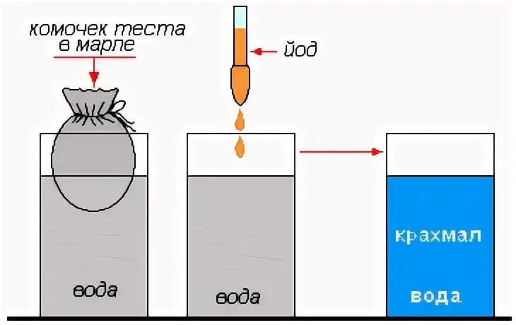 Опыт с мукой и водой. Опыт мука и вода и йод. Опыт с тестом на марле. Опыт обнаружение воды. Тесто в воду опустить