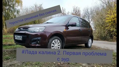 Калина проблемы
