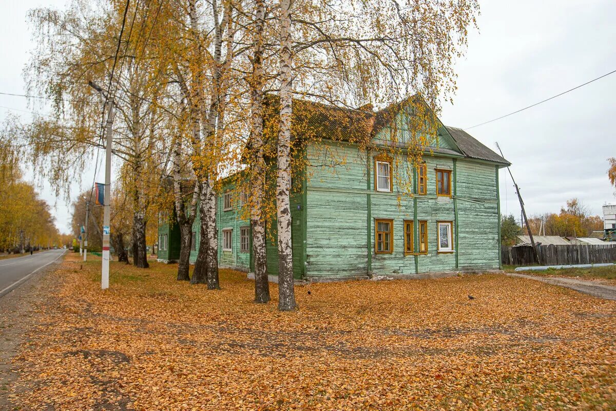 Поселок Туголесский Бор. Поселок Туголесский Бор Московская область. Поселок Туголесский Бор Шатурского района Московской области. Школа в поселке Туголесский Бор Московская область. Бор ул горького