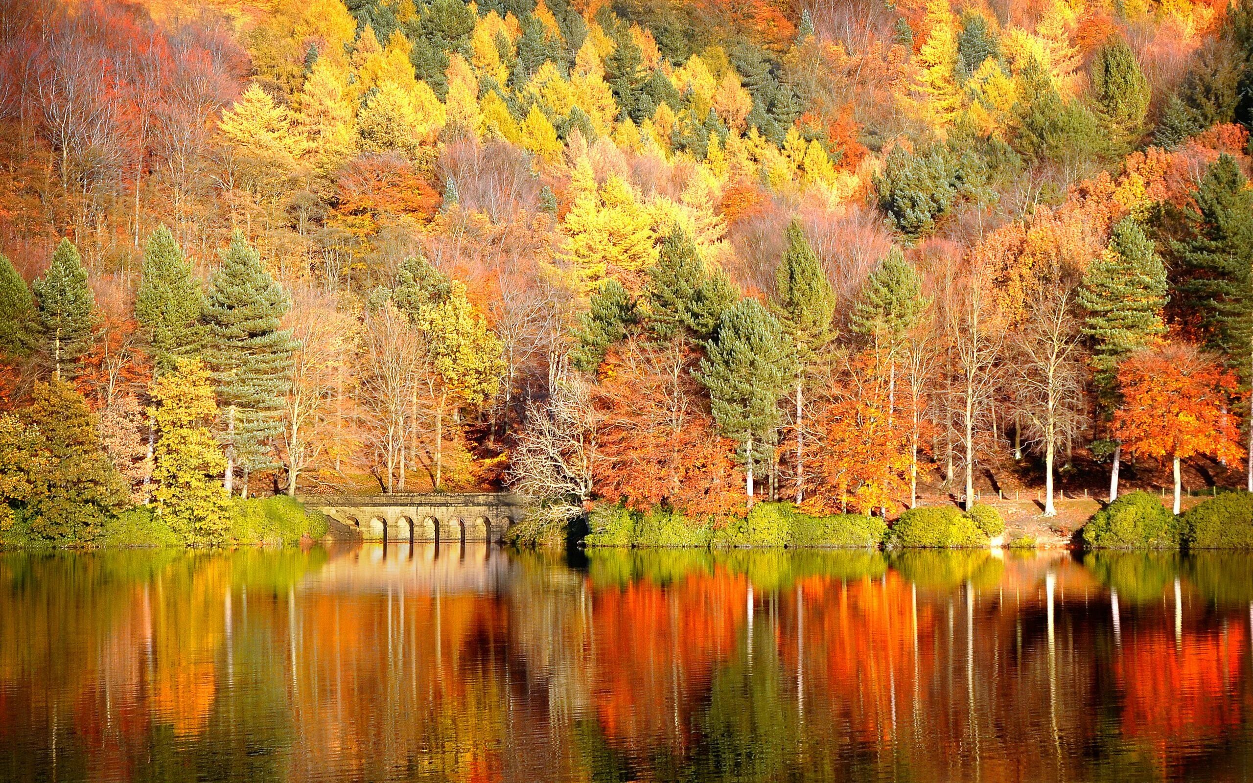 Hot autumn
