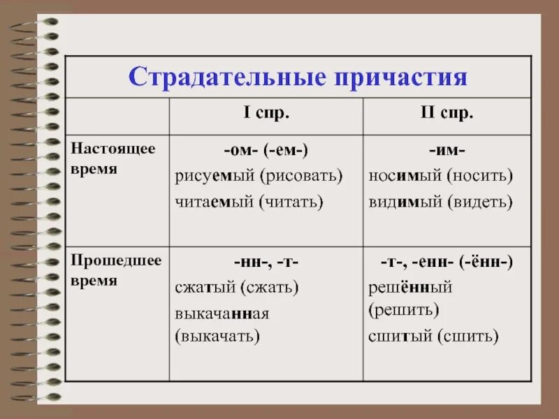 Что такое Причастие в русском языке 8 класс. Действительные причастия настоящего времени от глагола 1 спряжения. Как определить Причастие в русском языке. Пример страдательные причастия пример. Бреющий причастие