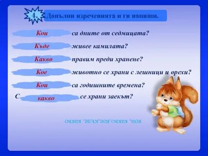 Писать кой