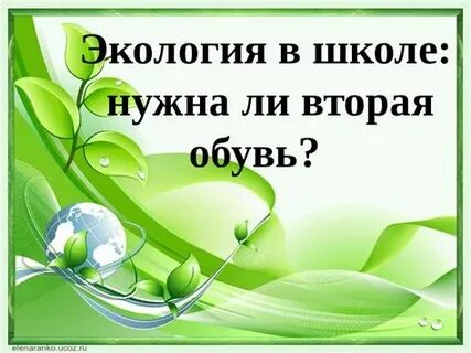 Экологический проект первая