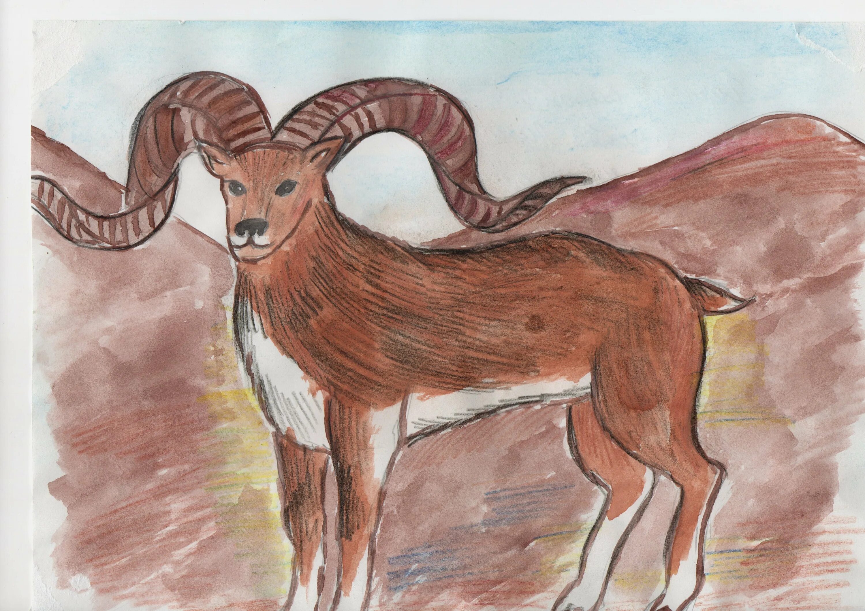 Животное рисунок 7 класс. Рисунок животного. Рисунок на тему животные. Животные карандашом. Животные для срисовки.