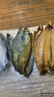 Пелядь рыба вкусная