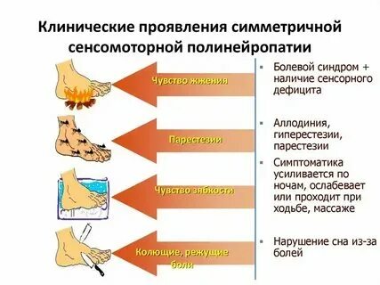 Сенсомоторная невропатия. Сенсомоторная невропатия. Схема лечения полинейропатии нижних конечностей. Парапротеинемические полиневропатии. Алгоритм диагностики.