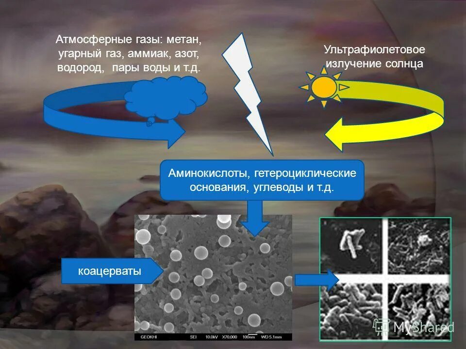 Образование коацерватов в воде