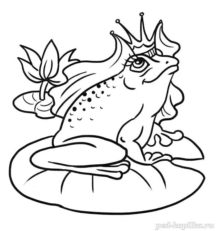 Царевна лягушка раскраска для детей. Царевна лягушка черно белый. Царевна лягушка раскраска для детей. Царевна-лягушка. Царевна лягушка черно белый.