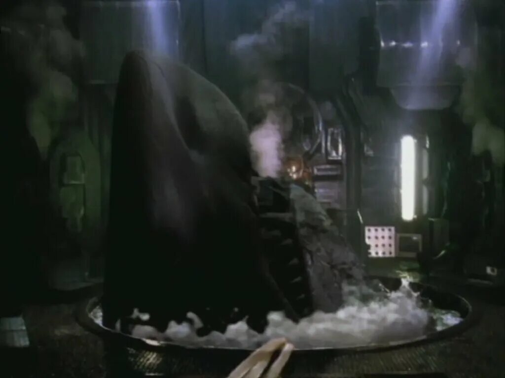 охотник на акул 2001. охотник на акул. охотник на акул. охотник на акул фильм 2001. охотник на акул.