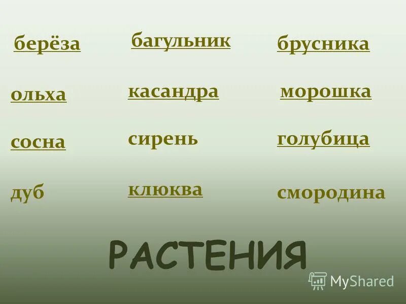 Звуки в слове болото. Болото составить новые слова. Слова из слова болото. Род слова болото. Новые слова из слова болото 1 класс.