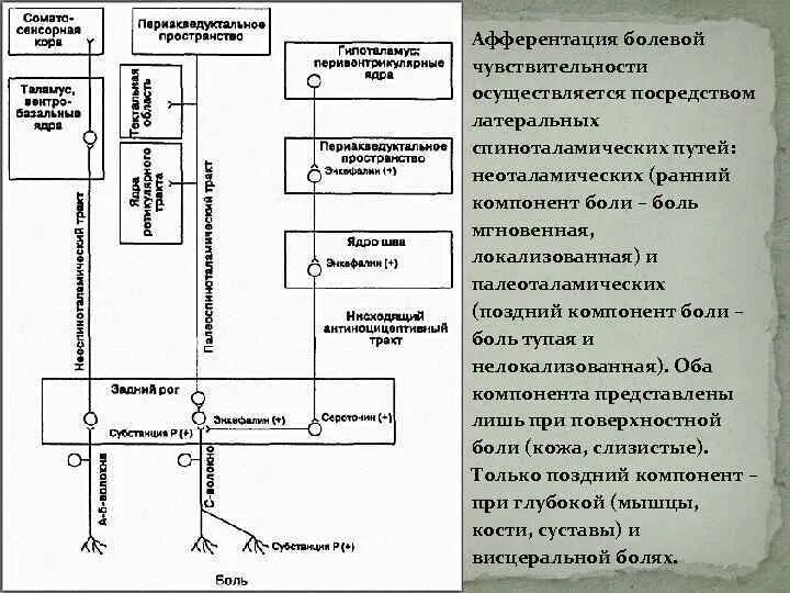 Нисходящий контроль