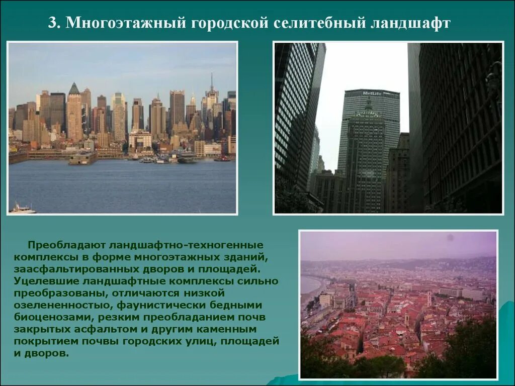 Селитебные ландшафты примеры. Селитебные ландшафты примеры. Современный парк. Селитебные ландшафты примеры. Виды городских ландшафтов.