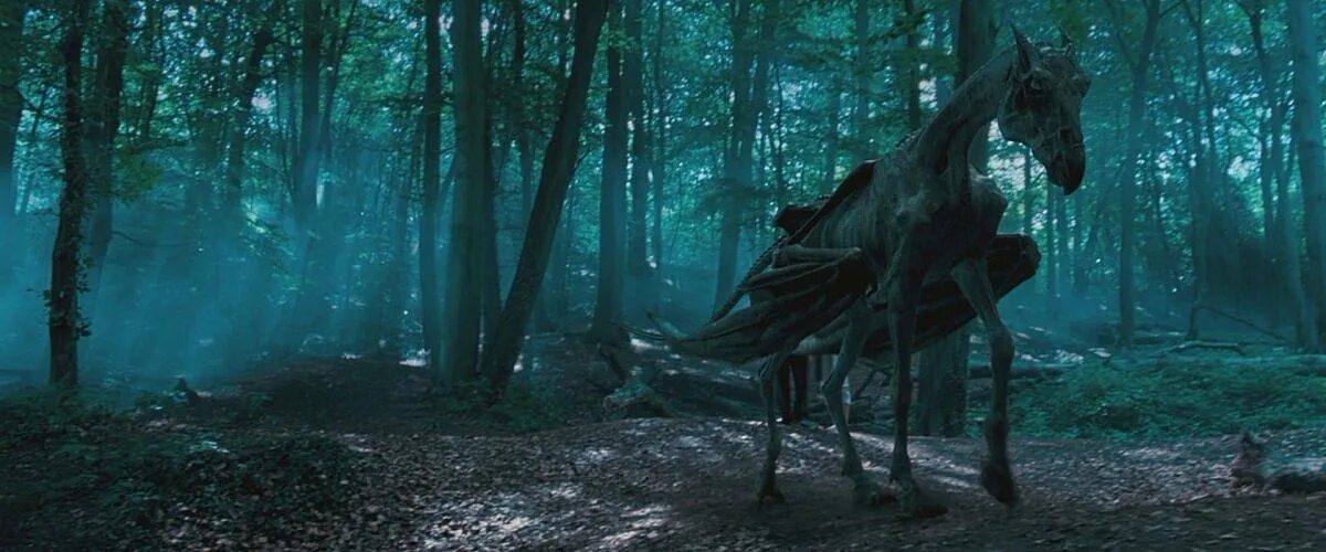 Фестралы гарри поттер. Фестрал хогвартс легаси. Фестрал орден феникса. Фестралы хогвартс. Hogwarts legacy гарри поттер.