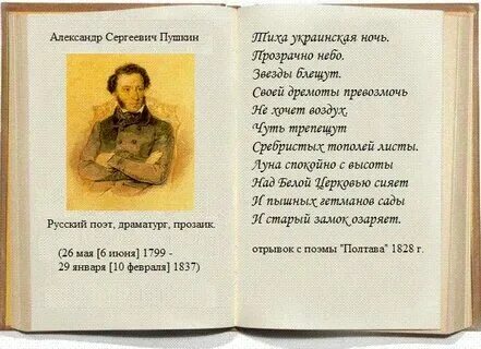 Стихи пушкина сайт