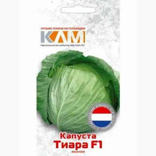 Сорт диадема капуста