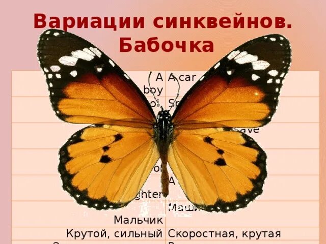 Бабочка составить слова. Синквейн бабочка. Синквейн на тему бабочка. Составить синквейн на тему бабочки бабочки. Синквейн про насекомых.