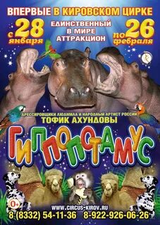Цирк киров афиша